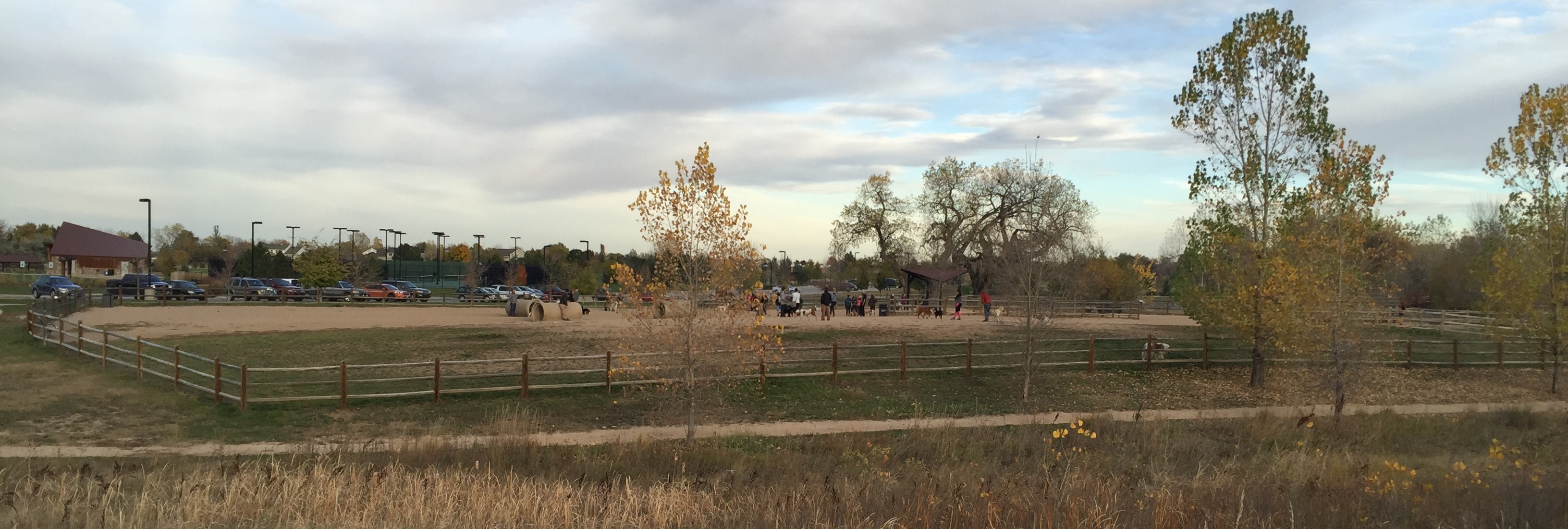 6 Things Dog Trainers Want to Scream at the Dog Park Trust Your Dog