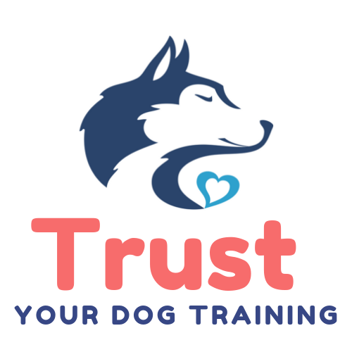 Trust Your Dog Training – Fort Collins, CO